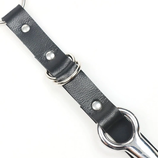 Anal Collar 5853 with and Leash EverydayUse Hook Kinky 1105